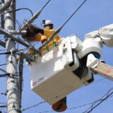 AIで停電予防～カラス巣検知システムの驚きの効果～
