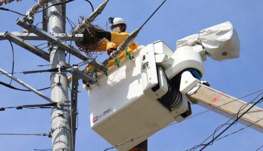 AIで停電予防～カラス巣検知システムの驚きの効果～